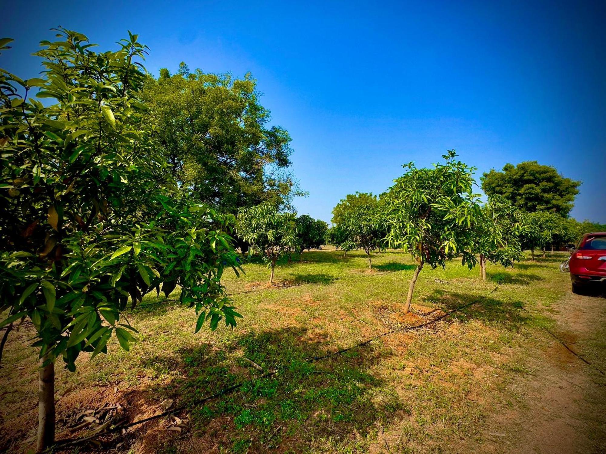 Mangohut Farmhouse Pool Villa Haidarábád Kültér fotó